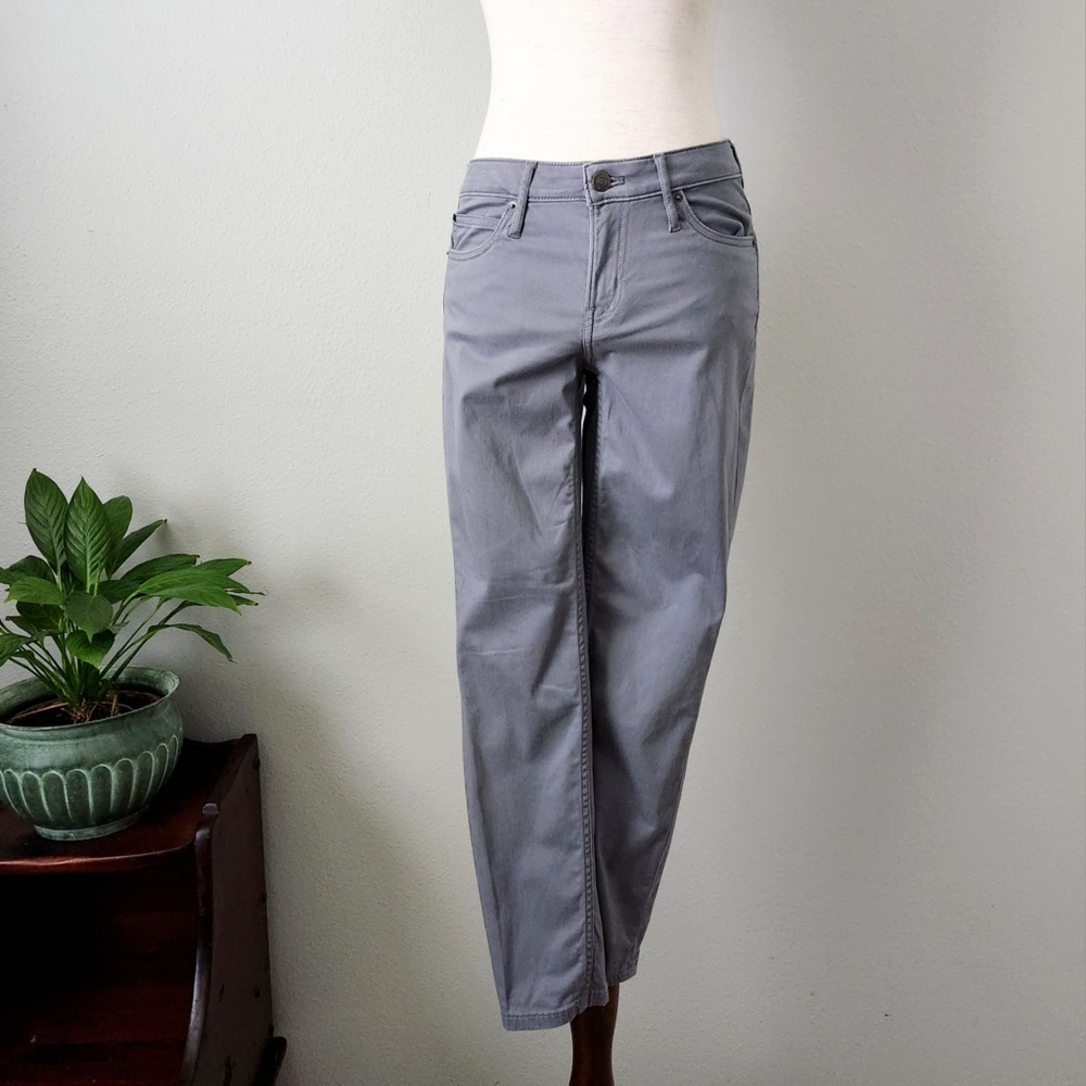 Calvin Klein Jeans Gray Ankle Skinny Lightweight Pants With Stretch, Size 4